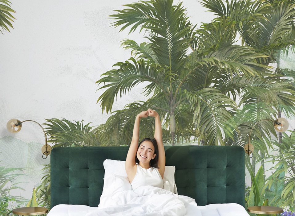 plants, trees, nature